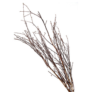 5 rami di betulla, rami bianchi, 50 cm di lunghezza e 3-5 cm di larghezza, decorazione naturale per vasi da terra, decorazione da tavolo con rami di betulla