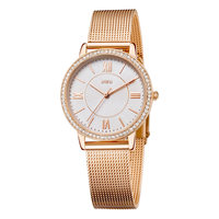 Reloj de Pulsera de Lujo para Mujer, Personalizado, de Acero Inoxidable, con Malla, Esfera de Cuarzo, Cristal, Caja de Aleación, Accesorio de Moda