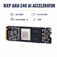 Kit de 40 cartes IA pour IA générative Stable Diffusion Llama2 TensorFlow PyTorch ONNX Edge Computing OEM Accélérateur IA M.2