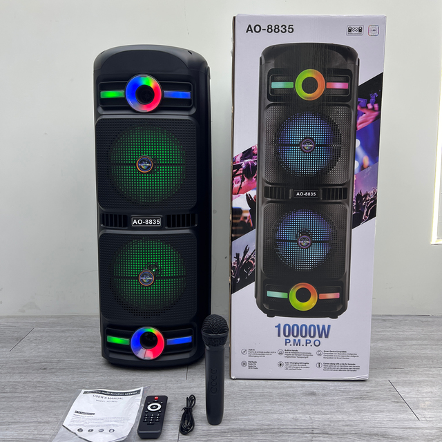 Double 8inch Party Portable Speaker with Rechargeable Wireless Microphone
