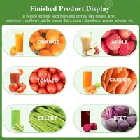Abrikozen Avocado Calamansi Watermeloen Sap Aardbei Ananas Pers Squeeze Industraies Extractor Machine