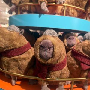 Nouveauté 2026 : Plus <span class=keywords><strong>de</strong></span> 500 modèles <span class=keywords><strong>de</strong></span> peluches style Jellycat JC UK 1:1, étiquettes originales, super douces, haute qualité, <span class=keywords><strong>catalogue</strong></span> gratuit, sac cadeau - Product Image 5