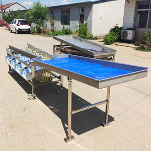 Máquina Clasificadora Multifuncional de Frutas, Verduras, Ajo, Clasificación Automática de Cebollas, Clasificación de Aceitunas - Product Image 2