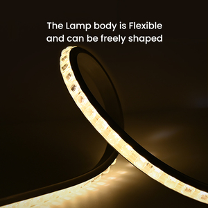 Striscia <span class=keywords><strong>LED</strong></span> RGB Professionale ad Alta Luminosità, Flessibile, 24V, Controllo ON/OFF, IP68, per Applicazioni Paesaggistiche, Dimmerabile - Product Image 4