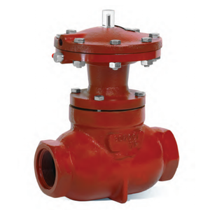 Regulador Kimray con Válvula de Bola Angular de Acero Inoxidable <span class=keywords><strong>ELA</strong></span> 250 250 SMA, Válvulas de Descarga de Líquido, Válvulas de Conexión Neumática NPT - Product Image 2