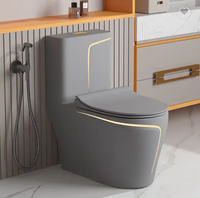 Ensemble WC en céramique de style moderne, facile à nettoyer, avec lavabo mural émaillé et cuvette de toilette grise mate