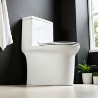 WC monobloc conforme ADA CUPC, cuvette allongée confortable de 16,5 po, jet siphonique pour personnes âgées et handicapées