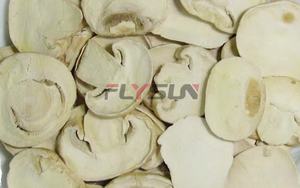 Machine de lyophilisation sous vide automatique Flysun à haute capacité en acier inoxydable 304 pour le brocoli et les légumes - Product Image 6