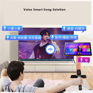 Juego de máquina de karaoke profesional 6T <span class=keywords><strong>Película</strong></span> en línea Reproductores de karaoke inteligentes Sistema de karaoke con amplificador de micrófono y altavoz - Product Image 6