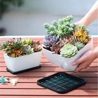 Pots à bonsaï rectangulaires en plastique avec plateau de drainage, pots pour plantes succulentes, pots de culture pour bonsaï, décoration d'intérieur
