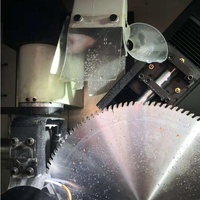 Equipo de afilado de precisión WEHO con motor servo CNC para afilar discos de diamante, rodamientos, cuchillas y hojas de sierra circular