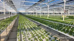 Multilayer Water Culture PVC Hydroponicn Nft Hydroponic System Channels Hidroponia Nft For Farms Gully Hydroponic Nft