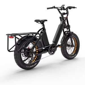 Bafang-Tricycle Électrique de Mobilité à Gros Pneu de Ville 750W, avec Cadre en Alliage d'Aluminium, Moteur 6061, pour UE, UK, US - Product Image 3
