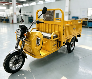 Tricycle électrique de transport 48V 501-800W à carrosserie ouverte, capacité de charge 300-400kg, jaune, trois roues - Product Image 2