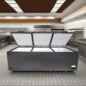 <span class=keywords><strong>Congelatore</strong></span> <span class=keywords><strong>Orizzontale</strong></span> a Pozzetto in Offerta Speciale - Grande <span class=keywords><strong>Congelatore</strong></span> a <span class=keywords><strong>Prezzo</strong></span> Vantaggioso - Product Image 3