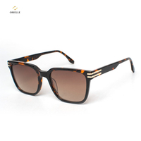Lunettes polarisées en acétate Omelle, lunettes TAC d'extérieur, lunettes de soleil pour femmes, lunettes de soleil de haute qualité personnalisées