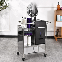 Vaporisateur capillaire professionnel à micro-brume ultrasonique avec ozone pour traitement capillaire en profondeur, équipement de spa capillaire de qualité salon