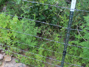 Poteau en métal de haute qualité pour clôture - Product Image 4