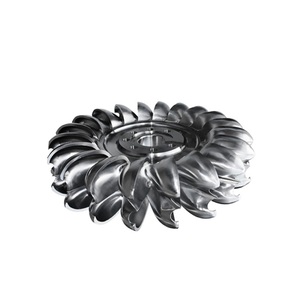 Bánh Xe Tua-bin Lưỡi Cố Định Của Động Cơ Tua-bin Deriaz/Máy Phát Điện Tua-bin Pelton Nhỏ - Product Image 2