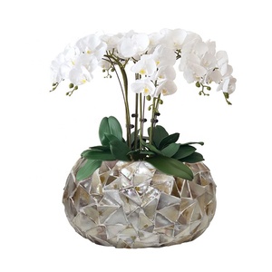 En gros <span class=keywords><strong>De</strong></span> Haute Qualité Style Européen Coquille En Forme <span class=keywords><strong>De</strong></span> Boule Planteur <span class=keywords><strong>De</strong></span> Pot <span class=keywords><strong>De</strong></span> Fleur - Product Image 1
