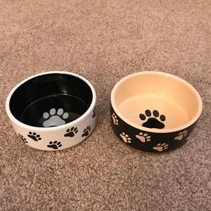 BESTCERA Fábrica Diretamente Preço Decalque Cerâmica Bonito Durável Colorido <span class=keywords><strong>Pet</strong></span> Cerâmica <span class=keywords><strong>Pet</strong></span> <span class=keywords><strong>Dog</strong></span> Food Bowl para Alimentos e Água <span class=keywords><strong>Pet</strong></span> Bowl - Product Image 4