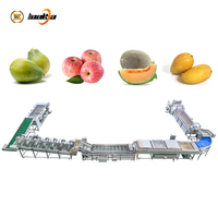 SUS304 Fruit- en groentewaslijn, mango-appel parallelle borstelwasser, bubbelwasser, radijs spuitreinigings- en sorteermachine