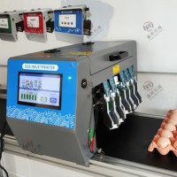 Imprimante jet d'encre pour codage de surface d'œufs, machine de marquage automatique qui imprime la date et les informations de lot sur la coquille d'œuf pour les usines de transformation d'œufs