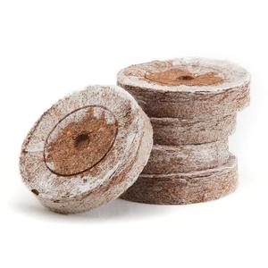 Kit <span class=keywords><strong>de</strong></span> jardin <span class=keywords><strong>potager</strong></span> moderne pour enfants, idéal comme cadeau, avec courgette, chou-fleur, haricot français, carotte et plus encore - Product Image 5