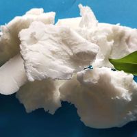 Vente en gros de cire de colza écologique naturelle personnalisée en vrac Vente en gros de cire de colza pure pour la fabrication de bougies