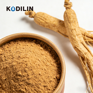 Kodilin Popular Cultured <strong>Ginseng</strong> 10g High Activity Immune Support Powdered <strong>Ginseng</strong> Adventitious Roots <strong>Ginseng</strong> for Men - Product Image 1