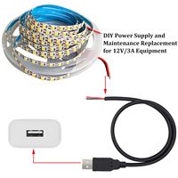 OEM/ODM USB2.0 USB A prise mâle pour ouvrir les fils nus à 2 broches Câble de charge d'alimentation Pigtail Open End Extension Cable