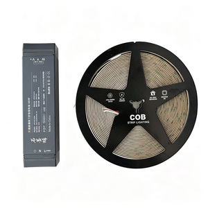 Tira de Luz LED COB de 24V, Azul Hielo a Dorado, 5 Colores Cambiantes, Inteligente, Regulable, Luz Ambiental - Product Image 1