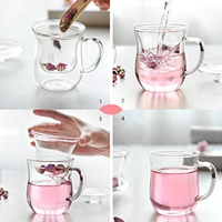 500ml tasse à thé en verre tasse tasses à thé en verre Kits tasses à café tasse transparente avec couvercle infuseur filtre et couvercle pour thé
