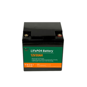 Lange Cycli 12V 24V Lithium-Ionbatterij 20ah 30ah 50ah 100ah Lifepo4 Energieopslagbatterij Met Bms - Product Image 1