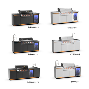 Parrilla de Gas para Exteriores EX601G-T, Moderna, Portátil, de Acero Inoxidable, para Jardín, Cocina Integrada, Barbacoa - Product Image 3