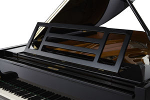 Nieuwe aanwinst: hoogwaardige professionele concertvleugel met 88 toetsen - Product Image 3