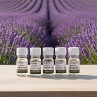 Recharge d'huile parfumée naturelle pour diffuseur sans eau, 5 ml, écologique et non toxique, pour la maison et le bureau (vente en gros)