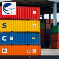 Servicio Puerta a Puerta DDP de Contenedores, de Dongguan a Tailandia, Agente de Carga con Impuestos Pagados, Servicio de Despacho de Aduanas DDP DDU