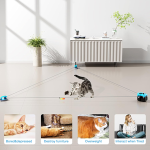 Giocattolo interattivo per gatti per animali domestici, Auto/telecomando fai da te per la caccia al topo gatto tapis roulant per intrattenere il cucciolo di gattino annoiato - Product Image 5