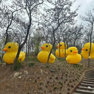 <span class=keywords><strong>Canard</strong></span> gonflable géant personnalisé, <span class=keywords><strong>canard</strong></span> jaune gonflable - Product Image 2