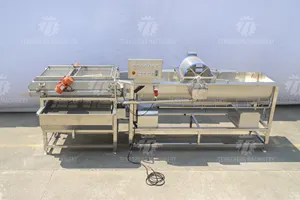 Línea de producción de máquina seca con doble corriente de vórtice, lavado de burbujas de vegetales y frutas, vibración