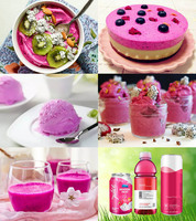 Poudre de thé matcha biologique rose à la pitaya, mélange de poudre de thé matcha et de fruit du dragon, fournisseur d'usine de boissons.