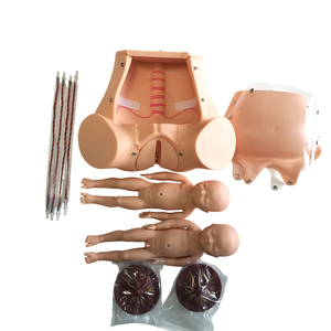 Model Pengajaran Persalinan Lanjutan, Model Pengiriman Janin dengan Tali Pusar dan Plasenta - Product Image 6