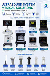 Máquina <span class=keywords><strong>de</strong></span> Ultrasonido Médica Portátil en Oferta, <span class=keywords><strong>Precio</strong></span> Bajo, Imágenes en Blanco y Negro, Sonda Dual Convexa Lineal, Veterinaria y Humana - Product Image 6