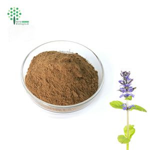 مستخلص نبات الأجوغا تركستانيكا النقي بنسبة 2٪ من مسحوق التوركيسترون - Product Image 2