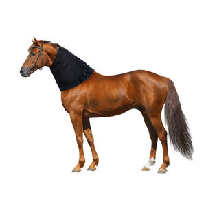 LED Rotlicht Nah infrarot Haustier therapie für Pferdehals LED Infrarot Lichttherapie Pferde pflege Schmerz linderung Pferde <span class=keywords><strong>massage</strong></span> Pad - Product Image 1