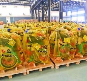 5530877 QSM15 ENGIEN VELOCIDAD <span class=keywords><strong>INDICAT</strong></span> ANILLO 5686208 QSM15 ENGIEN ÁRBOL DE LEVAS - Product Image 3