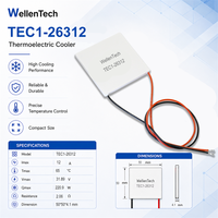 Module de refroidissement TEC à courant élevé TEC1-26312 50x50x4.1 mm 12 A 220.9 W pour la stabilisation de la température du circuit de glycol