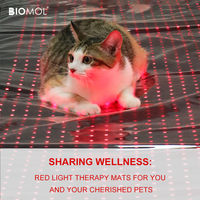 Tapis de sauna infrarouge BioMol pliable à lumière rouge 660nm 850nm avec LED à trois puces pour soulager la douleur corporelle complète