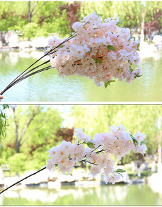 Fiore di ciliegio fiori di ciliegio di seta rami di fiori di ciliegio albero <span class=keywords><strong>Sakura</strong></span> 110CM rosa bianco fiore di ciliegio per matrimonio centrotavola - Product Image 4